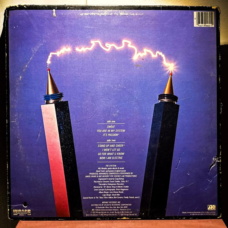 The System — Sweat (Back)