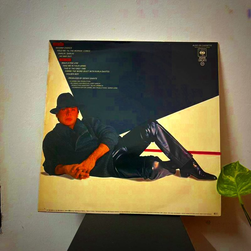 Paul Anka — Walk A Fine Line (Back)